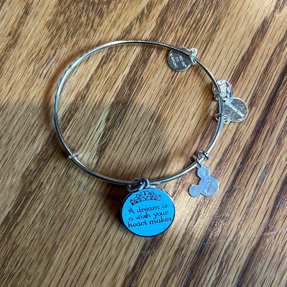 Alex and Ani Disney Bracelet